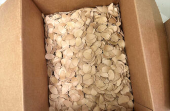 The Studio Punch Checklist – Addicted 2 Adorning®